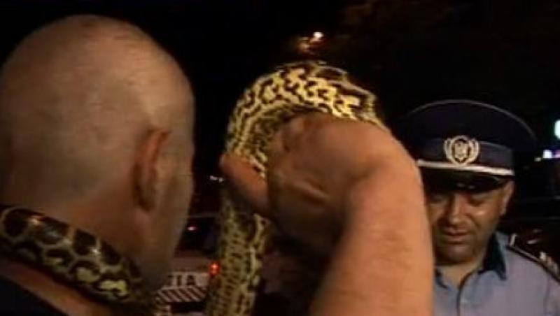 Un bucurestean a vrut sa-si recupereze banii cu o anaconda de doi metri
