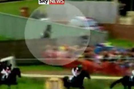 Australia: Un cal de curse a sarit in multime si a ranit sapte spectatori
