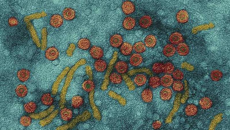 Virusul hepatic B - un inamic invizibil dar foarte periculos