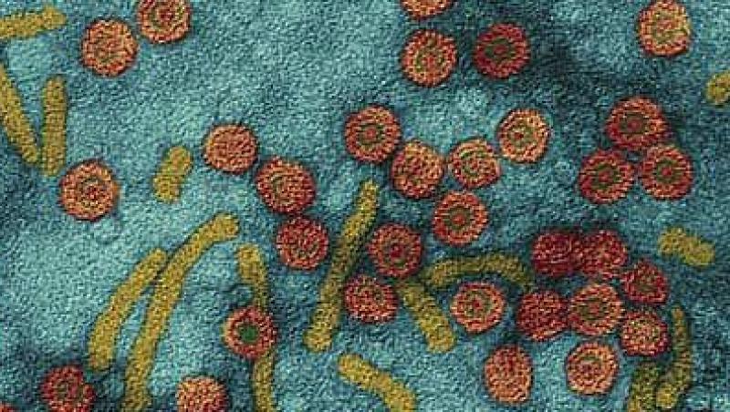 Virusul hepatic B - un inamic invizibil dar foarte periculos