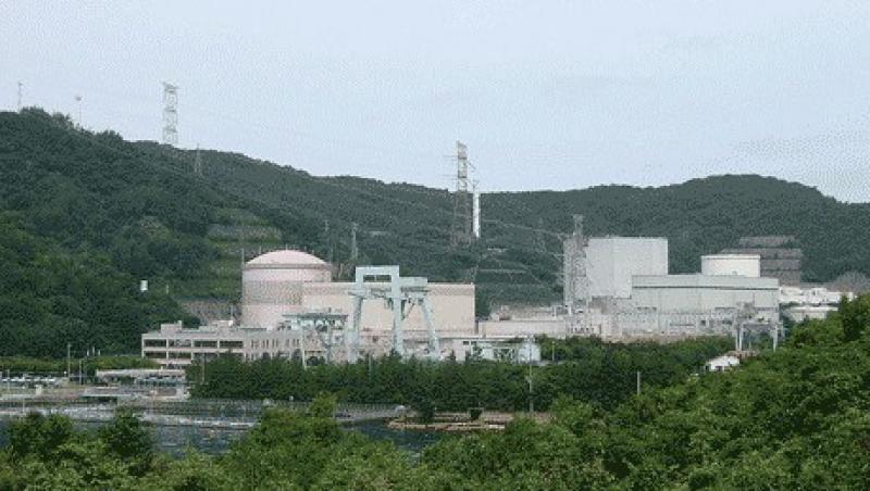 Japonia: Scurgere radioactiva la centrala Tsuruga