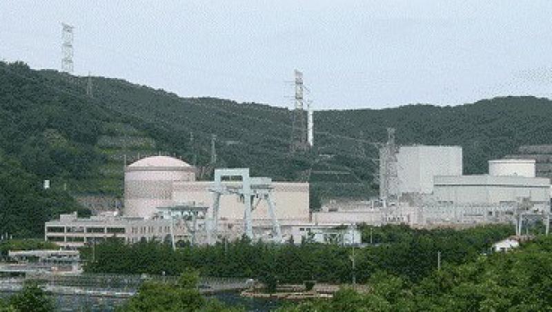 Japonia: Scurgere radioactiva la centrala Tsuruga