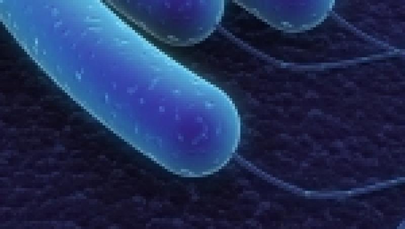 VIDEO! Afla mai multe despre bacteria E-coli de la dr. Mencinicopschi!