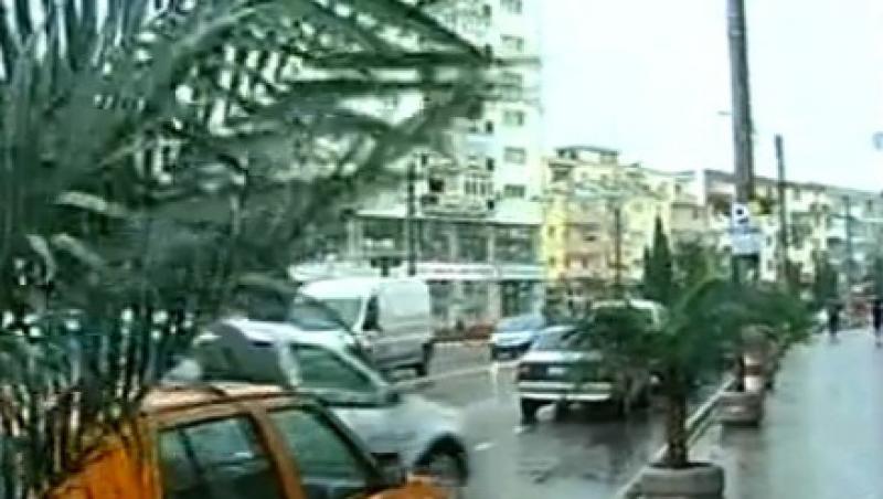 VIDEO! 30 de palmieri pentru somerii din Campia Turzii