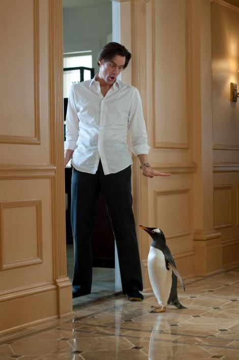 VIDEO! Jim Carrey si... pinguinii, pe covorul alb