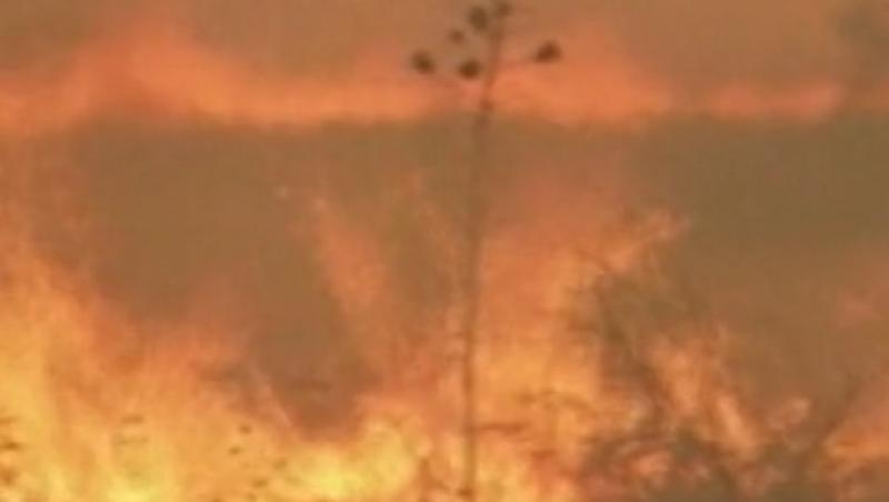 VIDEO! SUA se confrunta cu incendii uriase de vegetatie