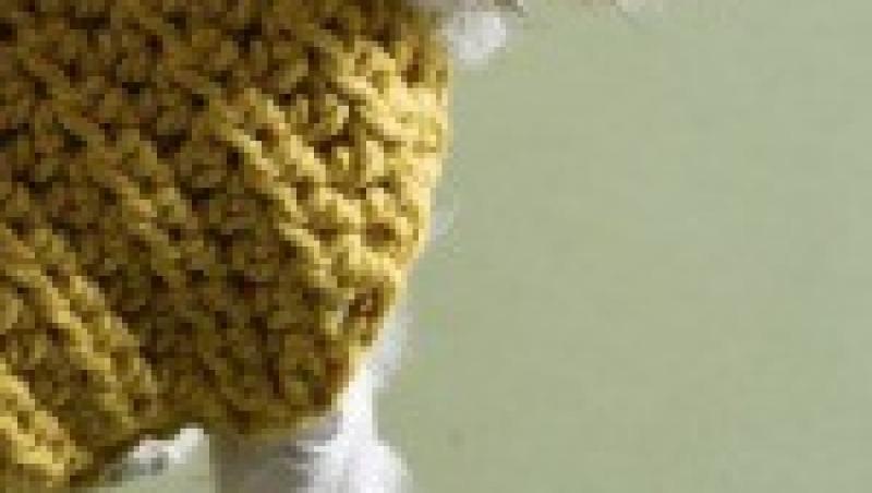 Sase moduri prin care sa iti rasfeti cainele