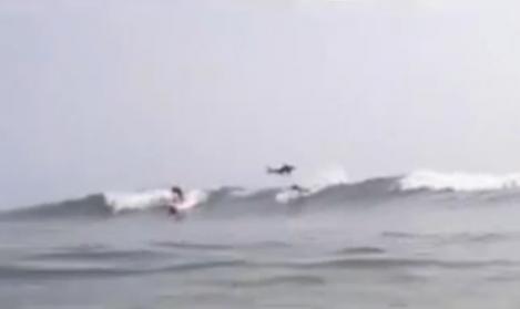 VIDEO! Vezi cum un rechin sare peste un surfer!