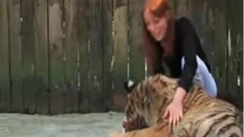 Exemplu pentru Udrea! Ministrul Turismului din Italia, in cusca unui tigru