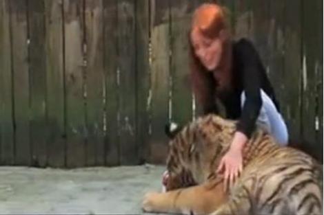 Exemplu pentru Udrea! Ministrul Turismului din Italia, in cusca unui tigru
