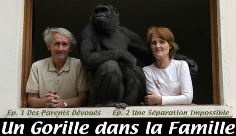 Doi francezi cresc o gorila ca pe propriul copil
