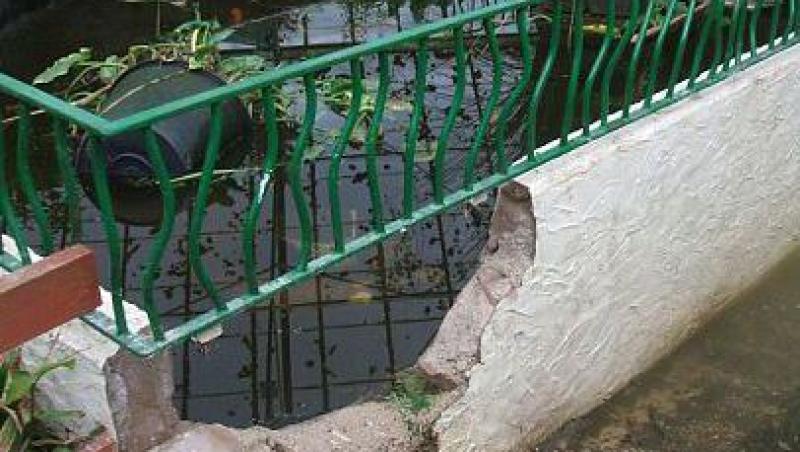 Manchester: Un copil a decapitat 18 pasari si a spart toate ferestrele unei Zoo