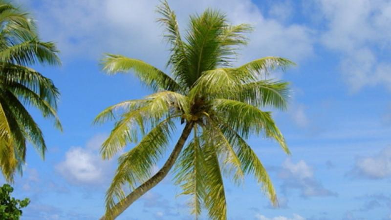 Insula Maupiti - o oaza de frumusete si liniste