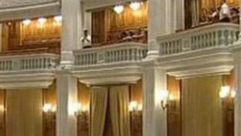 VIDEO! Meserie noua in Parlament: Paznici la sinucigasi!