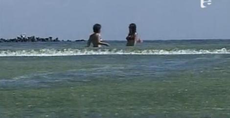 VIDEO! Tone de alge au invadat litoralul Marii Negre