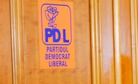 PDL vrea consultari cu opozitia privind reorganizarea teritoriala a Romaniei