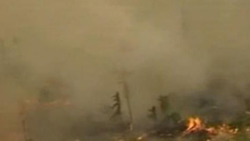 VIDEO! Incendiile puternice in Siberia au mistuit 26 de hectare de padure