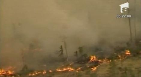 VIDEO! Incendiile puternice in Siberia au mistuit 26 de hectare de padure