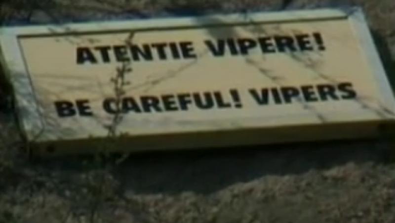 VIDEO! Invazie de serpi si capuse in satele de munte din Hunedoara!