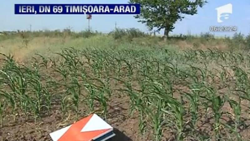 VIDEO! 24 de indicatoare rutiere aruncate in camp, pe DN 69, intre Timisoara si Arad