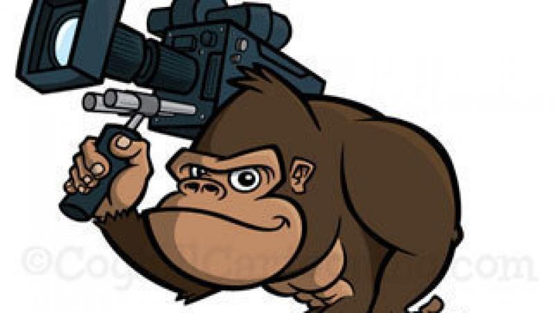 VIDEO! Lumea din perspectiva unei gorile