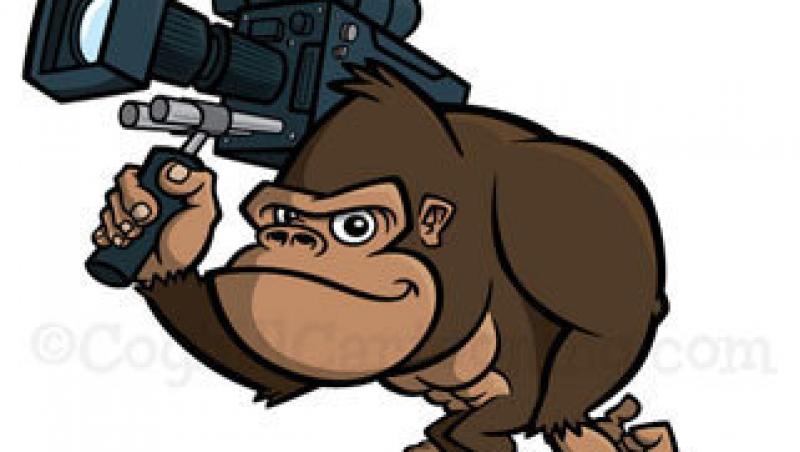 VIDEO! Lumea din perspectiva unei gorile