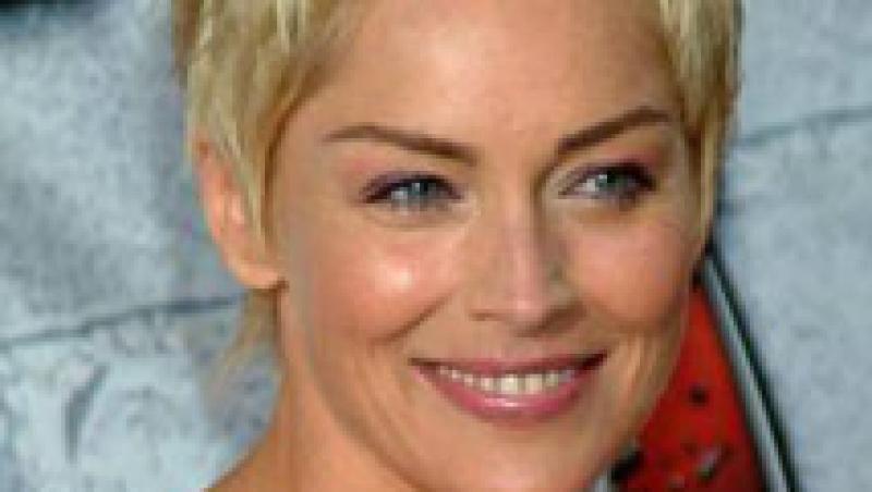 Sharon Stone, obligata sa plateasca daune in valoare de peste 200 000 de dolari