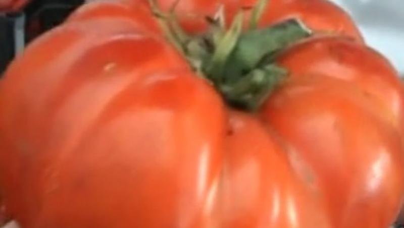 VIDEO! Mehedinti: Un roman cultiva rosii gigantice! Vezi cum arata!