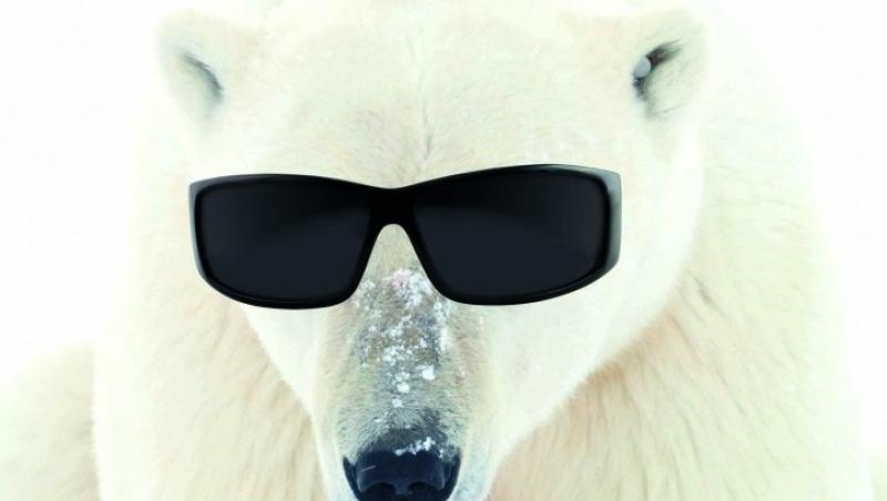 BBC Science Focus: De ce e mai frig la Polul Sud decat la Polul Nord?
