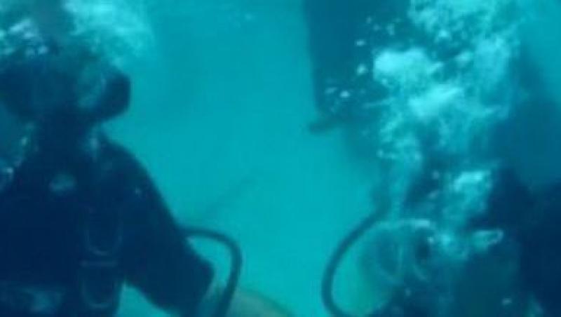 VIDEO! Vezi cea mai inedita casatorie: La 5 metri sub ocean, printre rechini