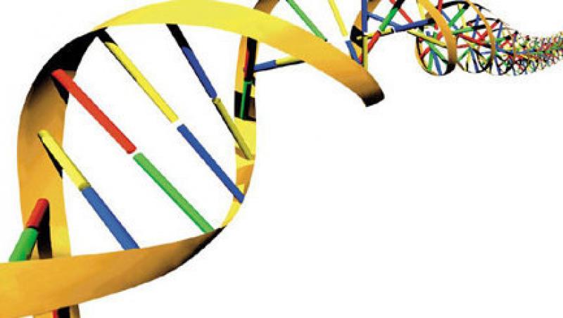 Secretul vietii, descifrat: Codul ADN poate fi 