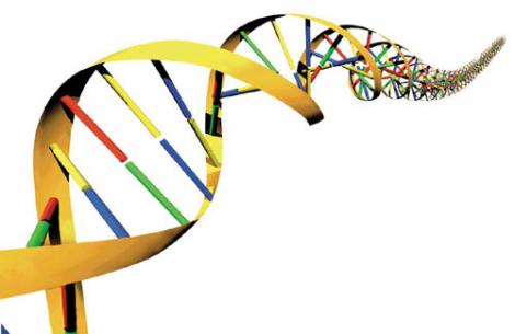 Secretul vietii, descifrat: Codul ADN poate fi "rescris"