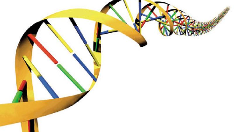 Secretul vietii, descifrat: Codul ADN poate fi 