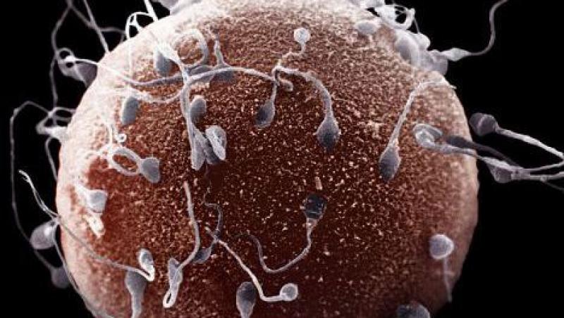 Unul din patru barbati are un defect genetic ce il poate face infertil!
