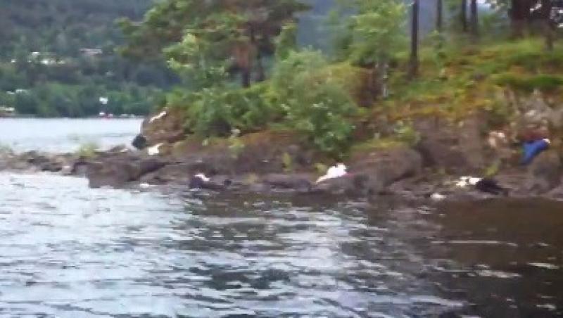 VIDEO SOCANT! Victimele masacrului de pe insula Utoya zac pe malul apei!