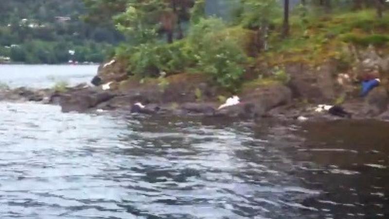 VIDEO SOCANT! Victimele masacrului de pe insula Utoya zac pe malul apei!