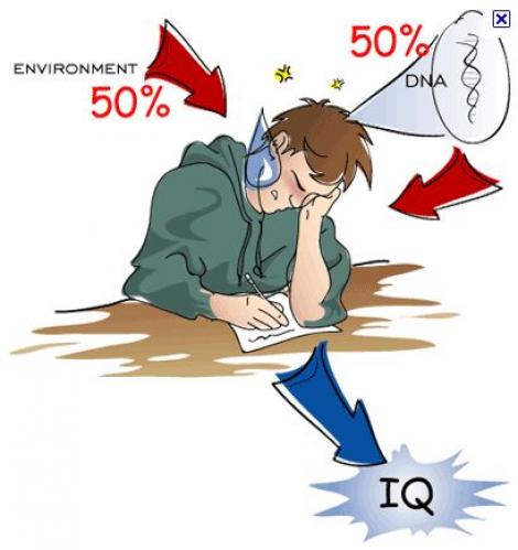 Studiu: IQ-ul nu arata istetimea