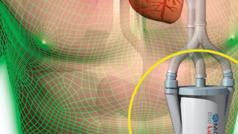 Plaman artificial, la fel de eficient ca cel uman