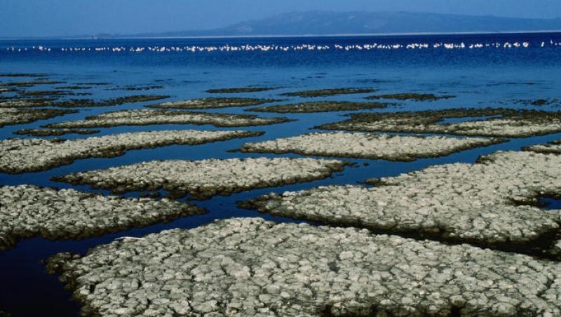 FOTO! Top 5 peisaje inedite de pe Terra