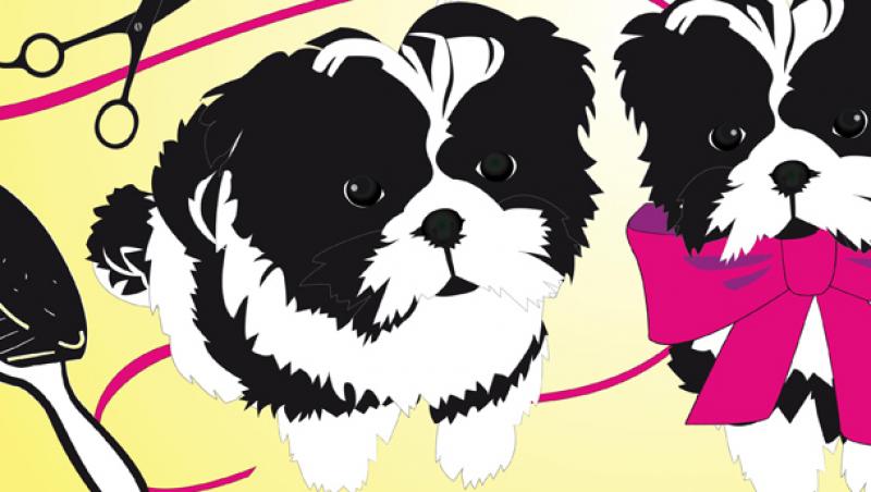 VIDEO! Moda canina: ce se poarta la catei in 2011