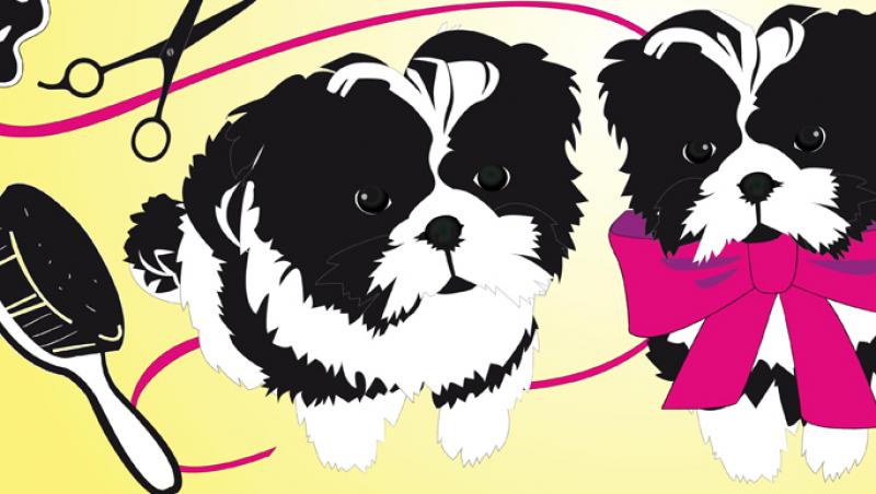 VIDEO! Moda canina: ce se poarta la catei in 2011