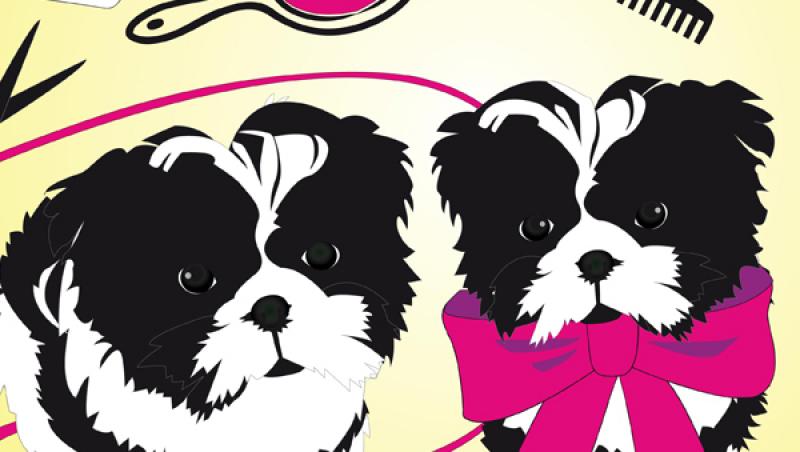 VIDEO! Moda canina: ce se poarta la catei in 2011