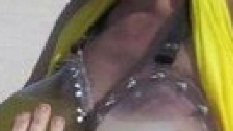 FOTO! Vezi cele mai trasnite costume de baie!