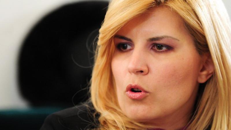 Elena Udrea nu se opune infiintarii unui minister de Afaceri Europene