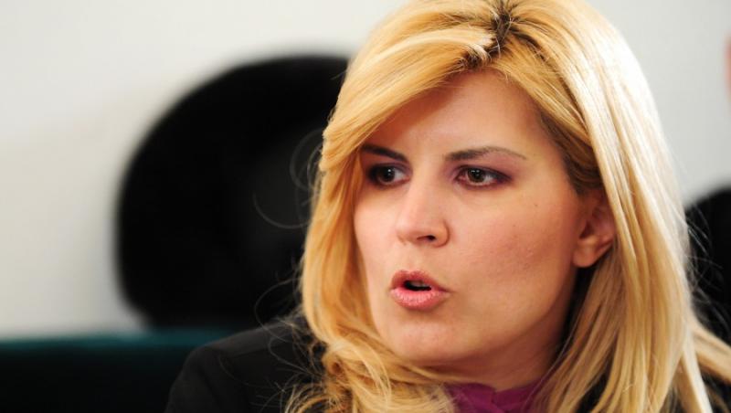 Elena Udrea nu se opune infiintarii unui minister de Afaceri Europene