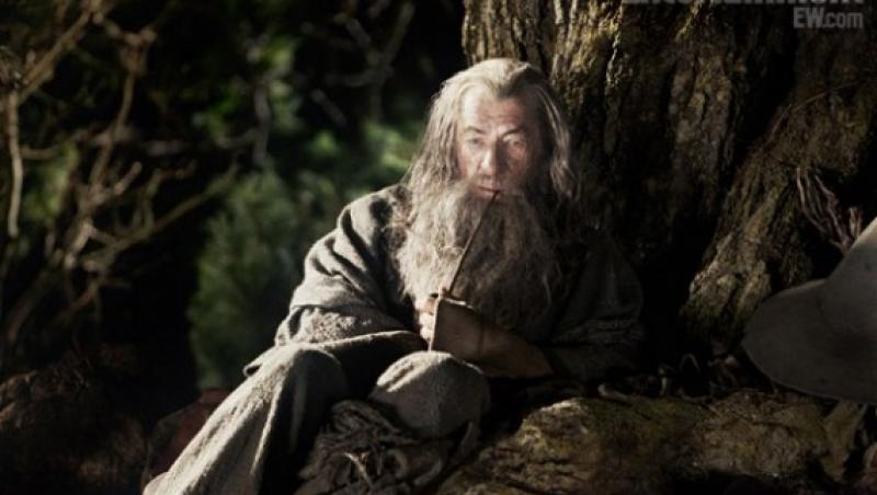 FOTO! Vezi primele imagini din filmul “The Hobbit”!