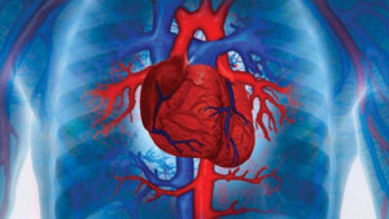 Chirurgii rezolva problemele inimii cu valve de porc sau de otel