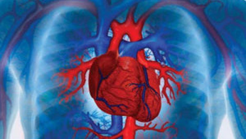 Chirurgii rezolva problemele inimii cu valve de porc sau de otel