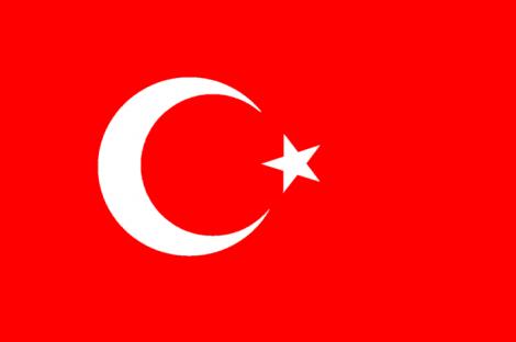 Sapte generali si amirali turci, acuzati de complot antiguvernamental