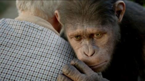 A1.ro iti recomanda azi filmul "Rise of the Planet of the Apes - Planeta Maimutelor: Invazia"